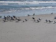 St. Augustine - Jan 2012 090